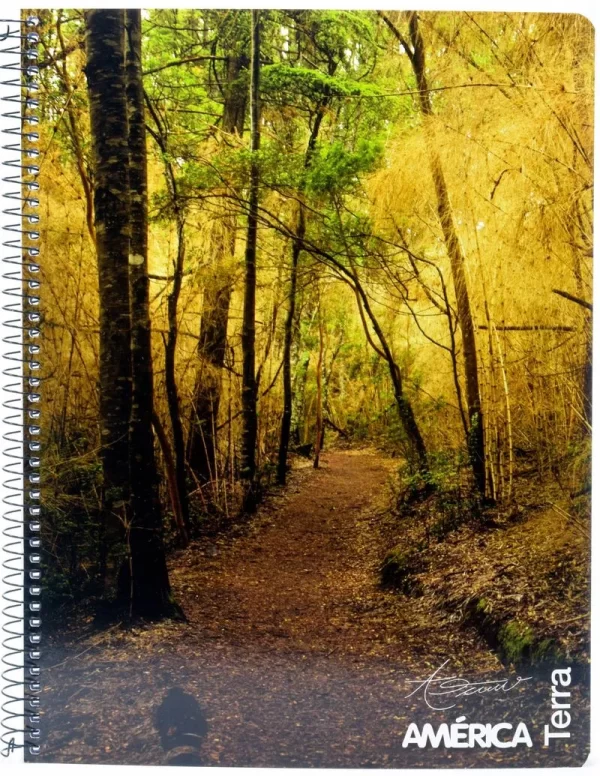 CUADERNO RAYADO AMERICA A4 80 HJ RAYADO